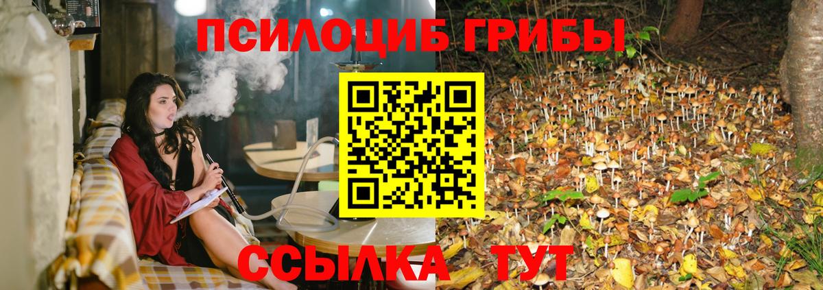 Наро-Фоминск  Галлюциногенные грибы мицелий  Вход с VPN 